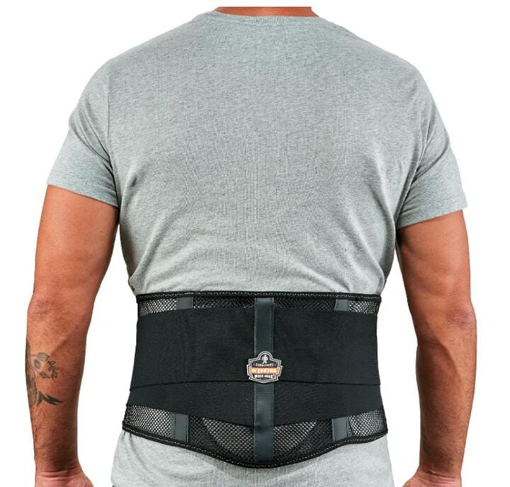 Ergodyne Proflex 1051 Light Mesh Back Support, Medium