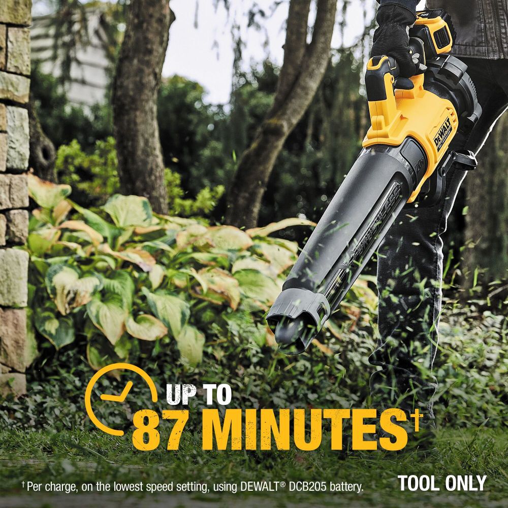 Dewalt leaf blower 20 volt sale