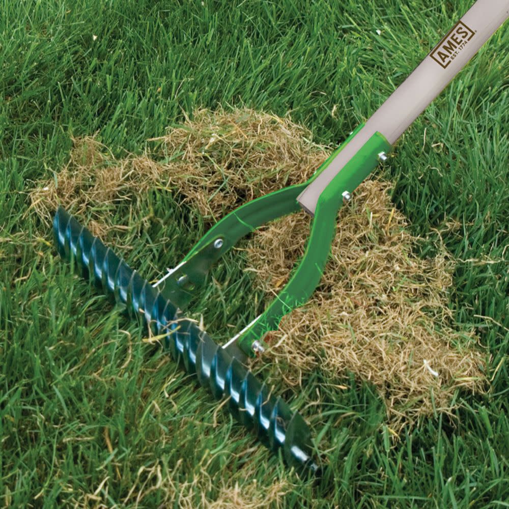 Ames clearance thatch rake