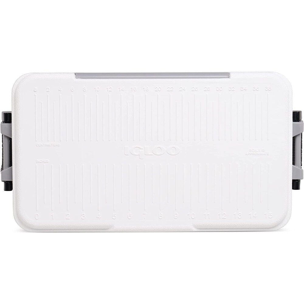 Igloo Latitude Cooler
