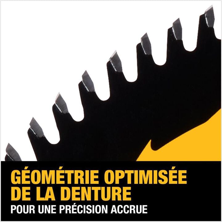 DEWALT Circular Saw Blade 10in 80T, large image number 10
