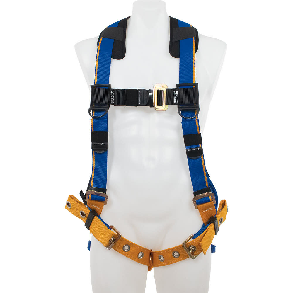 Werner Blue Armor Standard (Back D-Ring) Harness (S), large image number 1