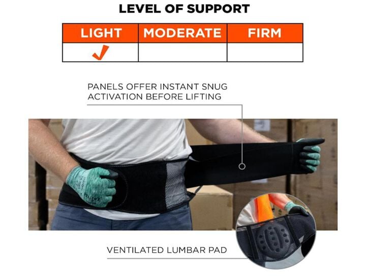 Ergodyne Proflex 1051 Light Mesh Back Support, large image number 4