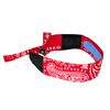 Radians Arctic Radwear Headband Red Paisley, small image number 1