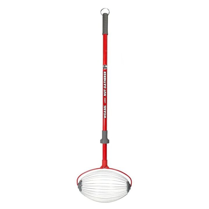 Garden Weasel 47.5 Inch Height Large Carbon Steel Nut Gatherer