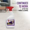 Hoover Residential Vacuum Paws & Claws Urine Stain Eliminator 22oz, small