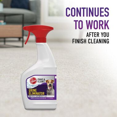 Hoover Residential Vacuum Paws & Claws Urine Stain Eliminator 22oz, large image number 3