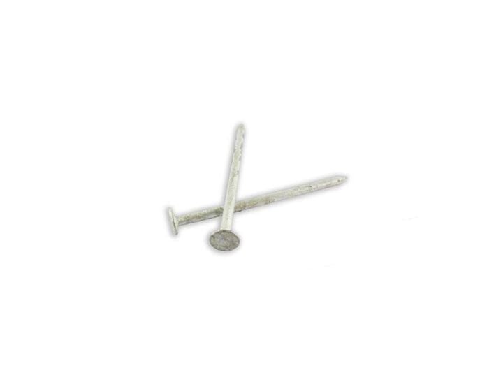 Woodpro Hot Dip Galvanized Box Nails 8d 5LB