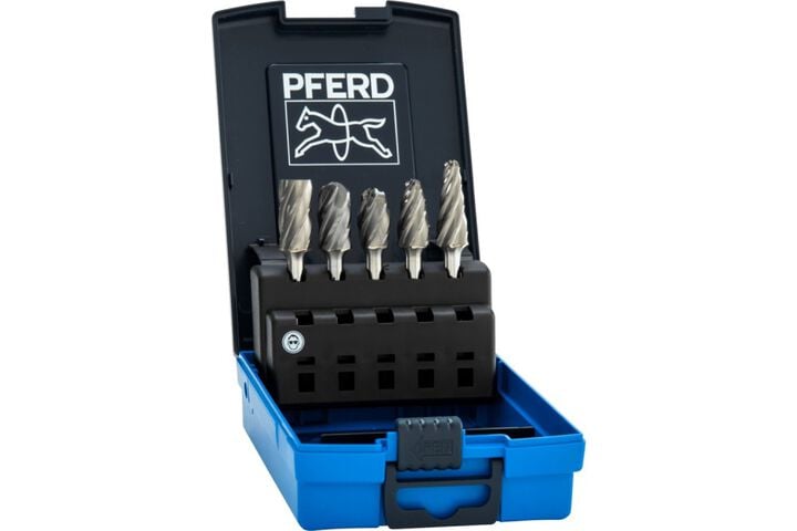 Pferd Carbide Burr Set 5 Piece ALU Cut/Non-ferrous 1/4 Inch Shank Plastic Case