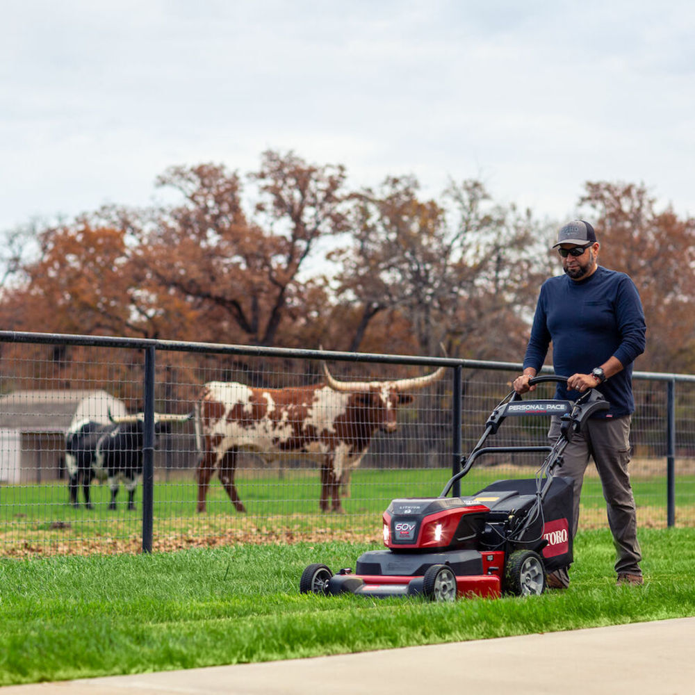 Self riding sales lawn mower