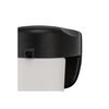 Westinghouse 8W 620 Lumens Black LED Outdoor Wall Light Fixture, small image number 4