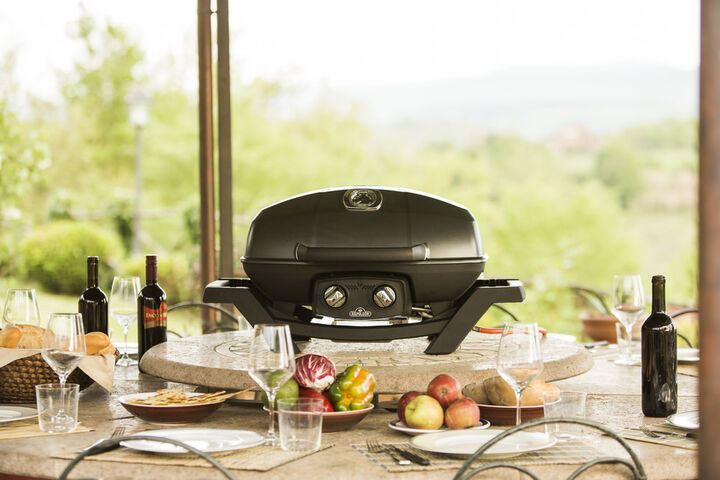 Napoleon TravelQ PRO285 Portable Propane Gas Grill Black, large image number 5