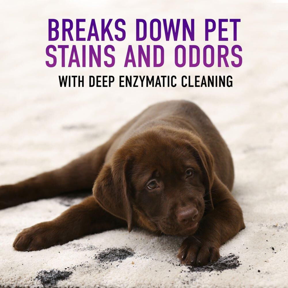 Hoover pet stain and odor remover sales