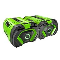 EGO POWER+ 56V 12Ah Lithium Ion Power Tool Battery Pack with Fuel Indicator (2 Pack)