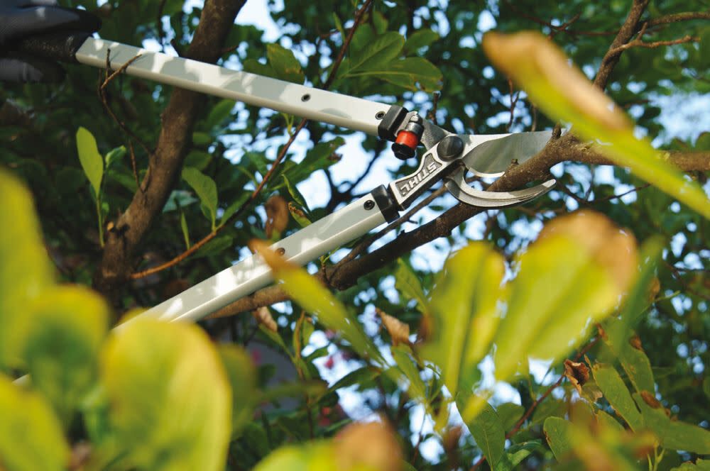 Stihl lopper outlet pl