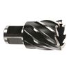 Milwaukee HSS Annular Cutter 1 in. Depth, small image number 1