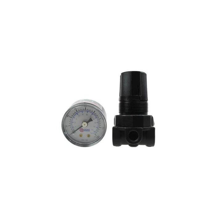 Coilhose 0-125 Psi 1/4in Port Miniature Regulator, large image number 1