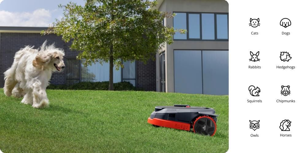 Segway Navimow X350 1-1/2 Acre Robotic Lawn Mower, large image number 11