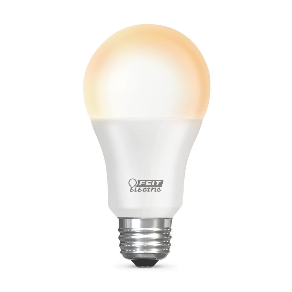 Day night bulb hotsell