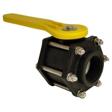 Apache Hose 2 In. Full Port Bolted Poly Ball Valve, large image number 0