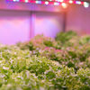Feit Electric 32W Adjustable 2' LED Plant Grow Light 1pk, small image number 3