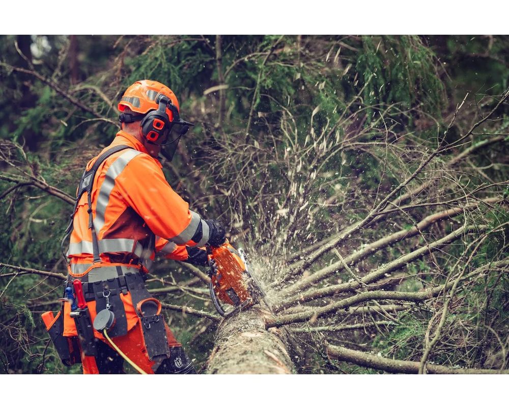 Husqvarna 564 XP G Fuel Injected 18 Inch X-Tough RSN 3/8 Inch C85 Chainsaw, large image number 12