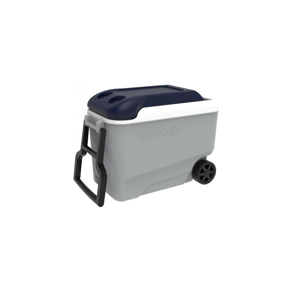 Igloo maxcold 40qt on sale