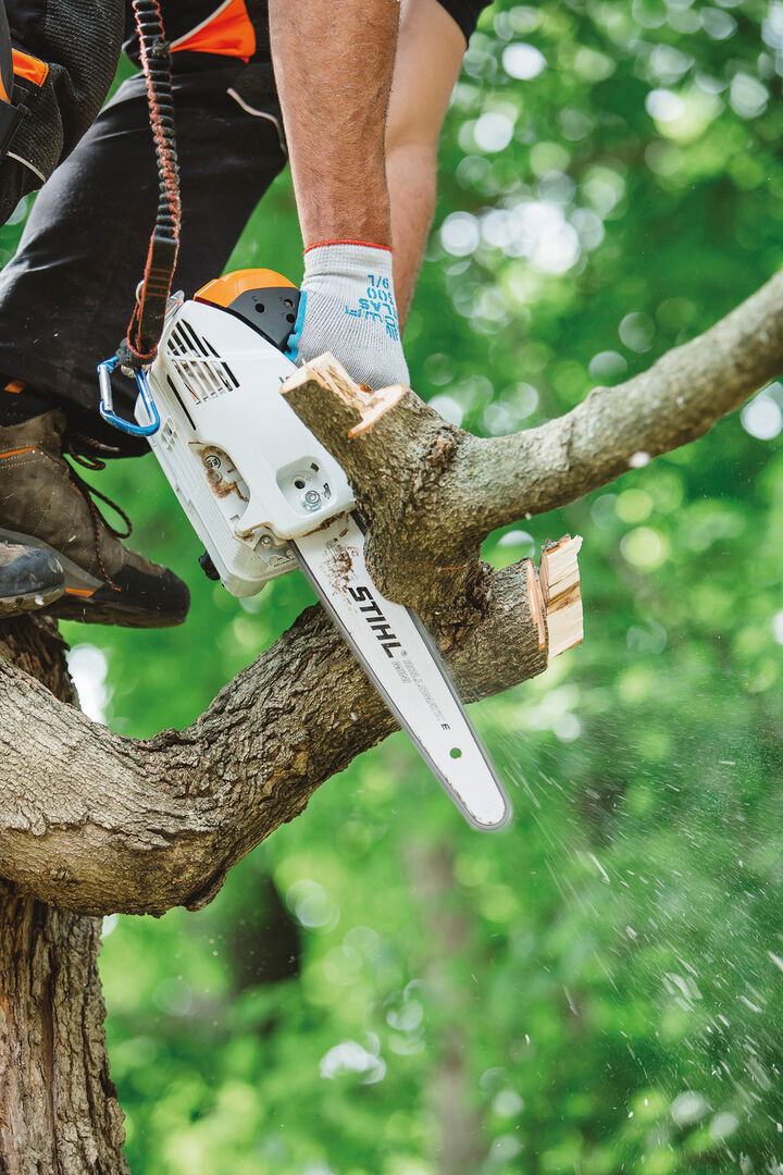 Stihl MS 151 T C-E 71PM3 3405 12 Inch Bar Gas Powered Top Handle Chainsaw, large image number 7