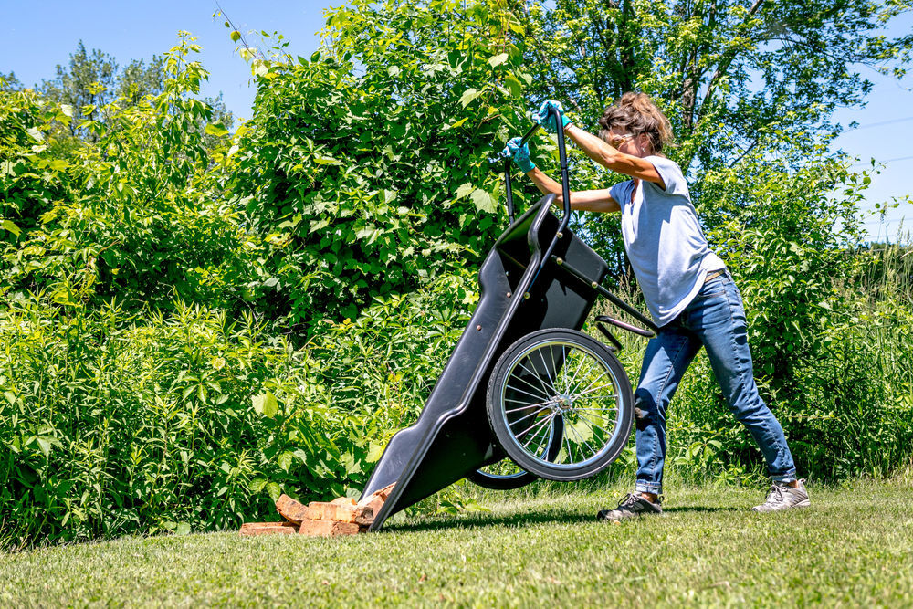 Polar Trailer Utility Cart, large image number 2