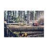 Husqvarna 562 XP 24inch 60 cc Gas Powered Professional Chainsaw with C85 Chain, small image number 3