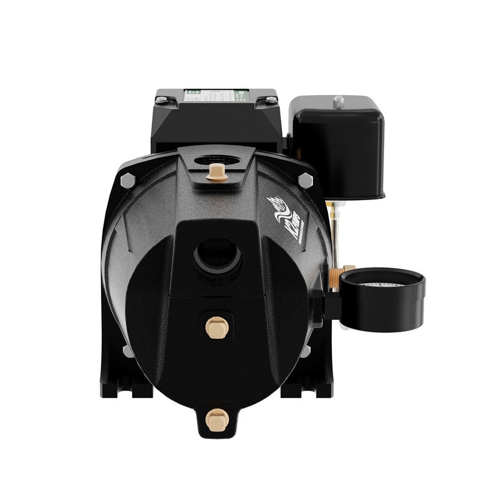 K2 Pumps Shallow Well Jet Pump 3/4 HP Lead Free Cast Iron 115/230V, large image number 2