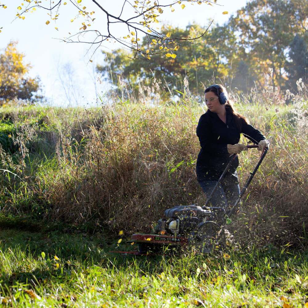 Earthquake string trimmer discount