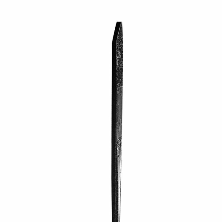True Temper 48in Heat-Treated Steel Pinch Point Crow Bar, large image number 1