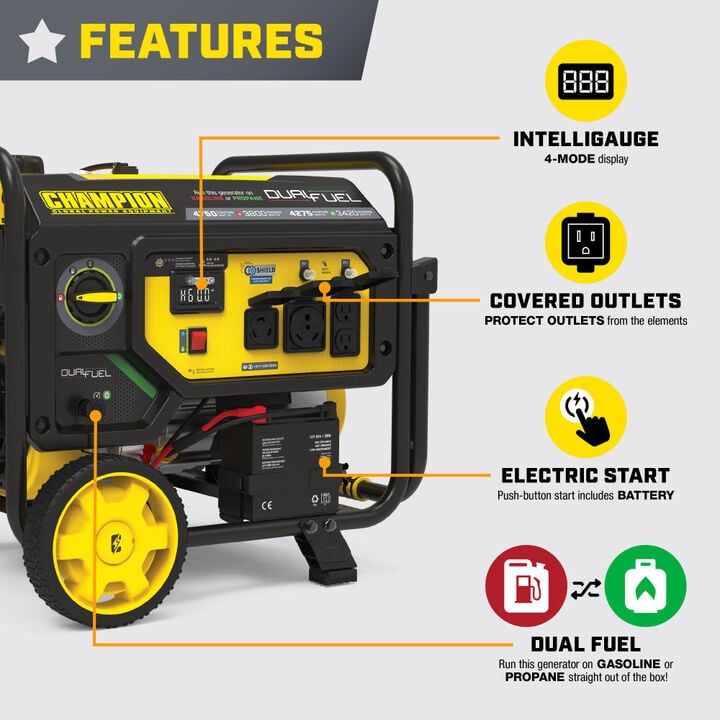 Champion Power Equipment 4750-Watt Electric Start Dual Fuel 50 State RV Ready Portable Generator CARB Compliant, large image number 1