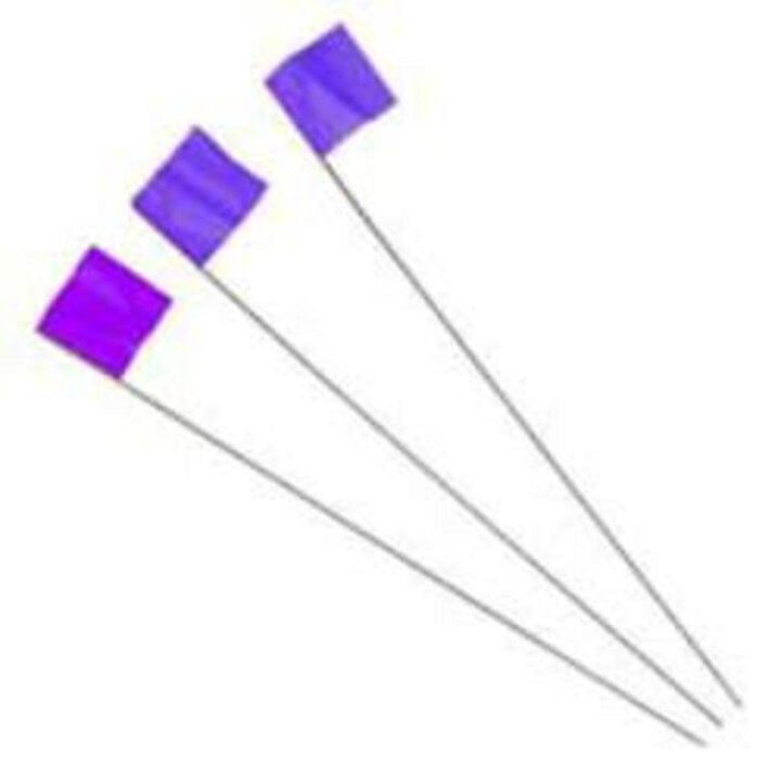 Irwin 2-1/2 In. x 3-1/2 In. x 21 In. Blue Stake Flags 100 Pc.