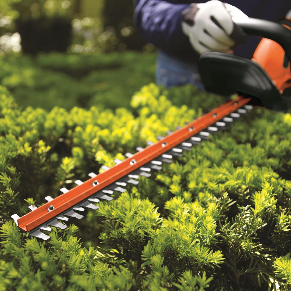 Black and decker 20 volt hedge trimmer shop
