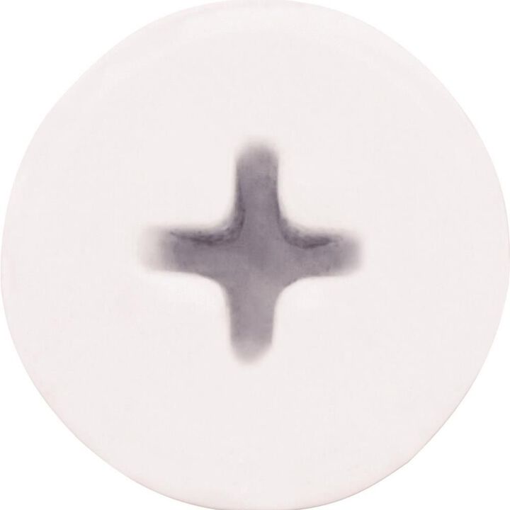 DEWALT Wall-Dog 1/4 x 1-1/2 Inch White Wafer Head Self-Drilling Wall Anchor 100 Pieces, large image number 1