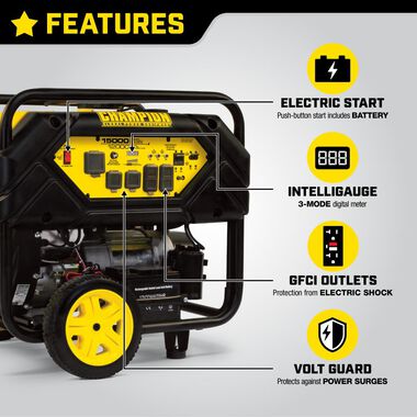 Champion Power Equipment 12000-Watt Portable Generator with Electric Start and Lift Hook, large image number 3