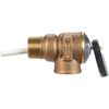 Cash Acme Temperature & Pressure Relief Valves 3/4in 125 PSI, small image number 2