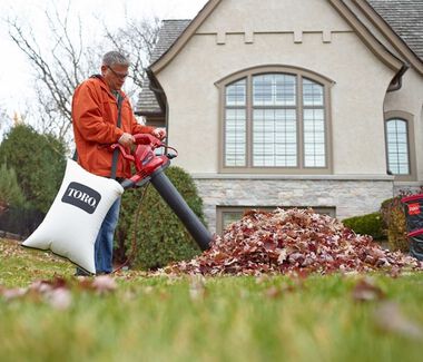 Toro UltraPlus Blower Vac, large image number 7