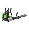 EGO Commercial 800 CFM Backpack Blower Kit with 2 x 10 Ah Batteries, small image number 3