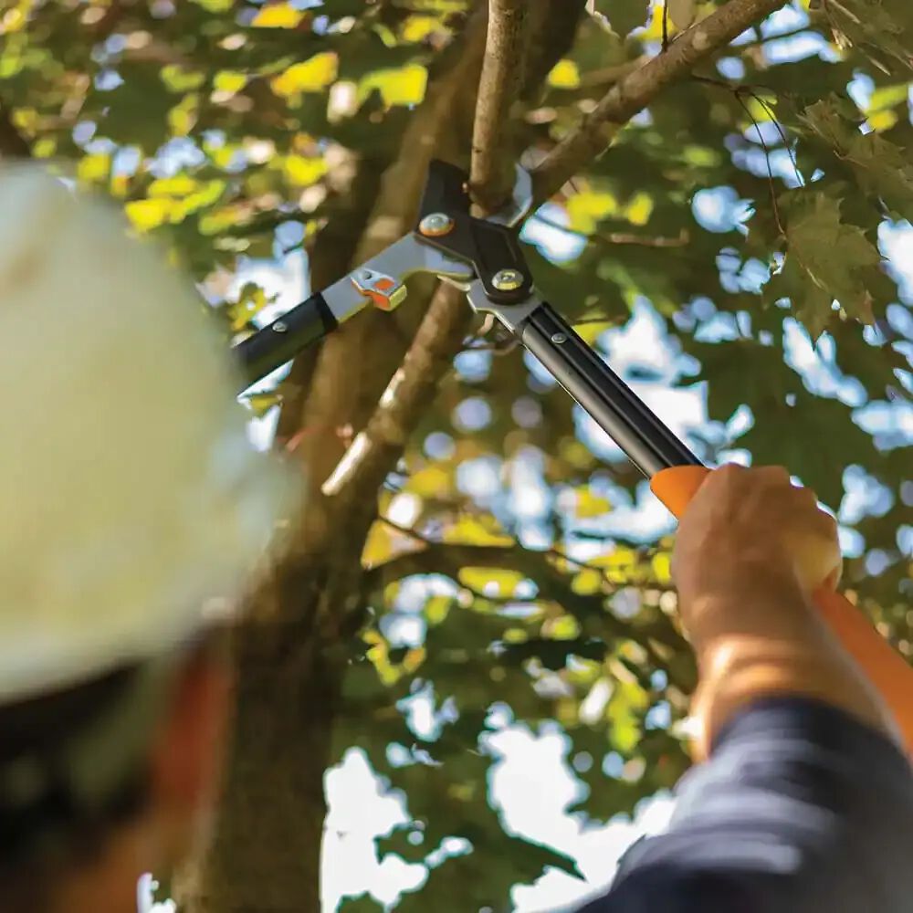 Fiskars Pro Carbon Steel Blade Bypass Lopper with Aluminum Handle ...