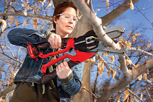 Craftsman V20 6 inch cordless compact chainsaw lopper