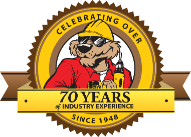 70 year logo