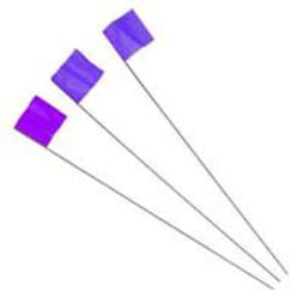 

Irwin 2-1/2 In. x 3-1/2 In. x 21 In. Blue Stake Flags 100 Pc.