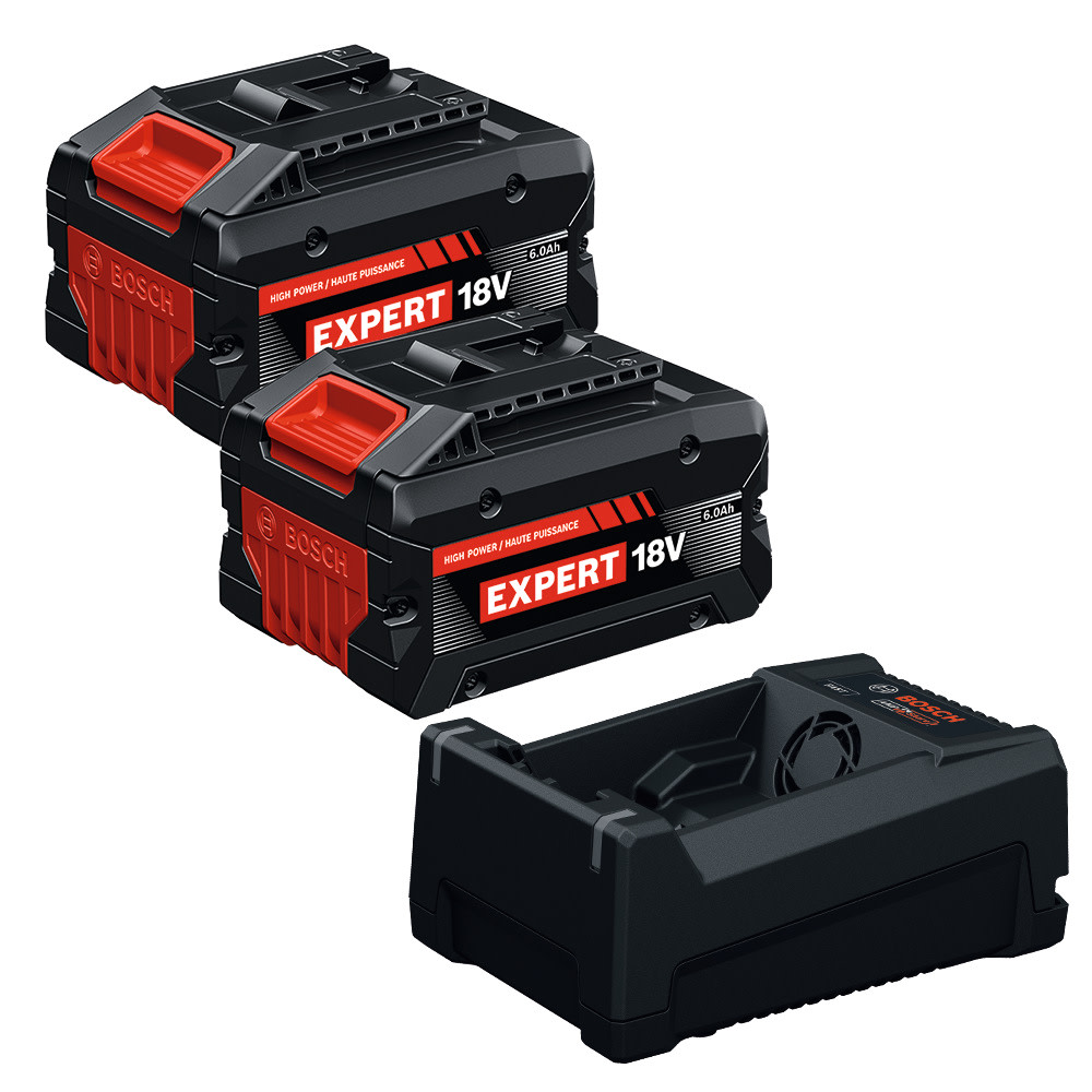 BOSCH ライト 2個セット Bosch 18V Starter Kit with Two 6 Ah Batteries & Charger GXS18V