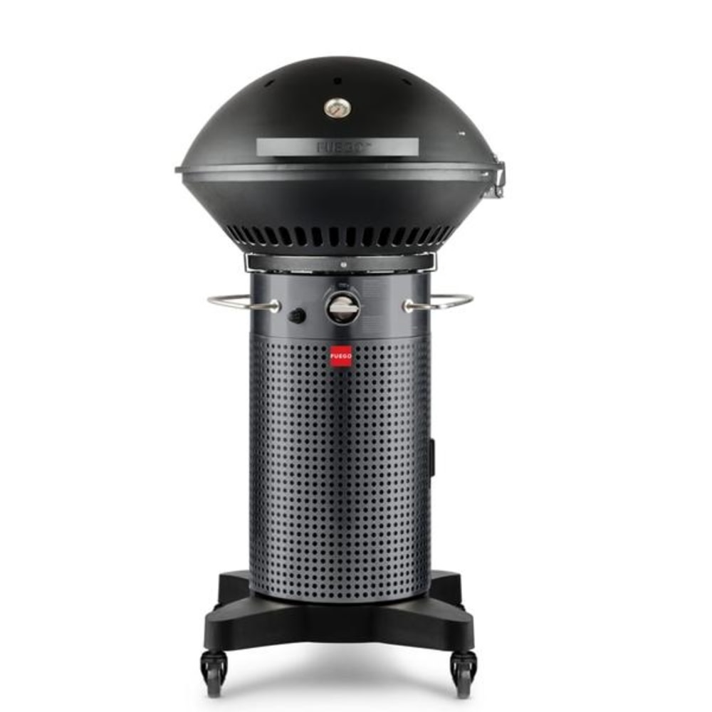 

Fuego Professional 24" 2 Burner Propane Gas Grill