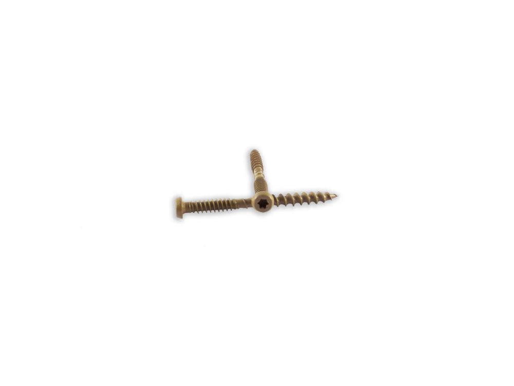 

Woodpro #10 x 2-1/2 In. 1000 Hour PPG E-Coat Tan Composite Deck Screws