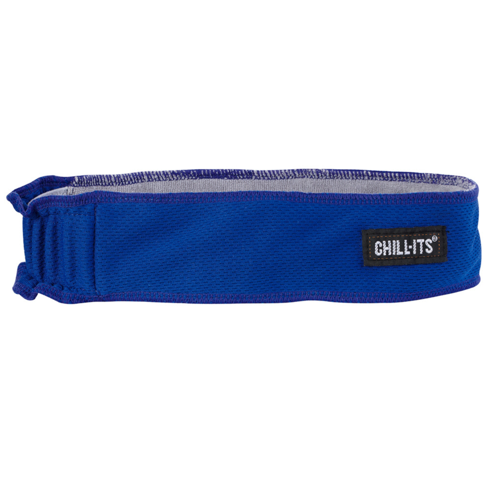 

Ergodyne Chill-Its 6605 Blue Head Sweatband