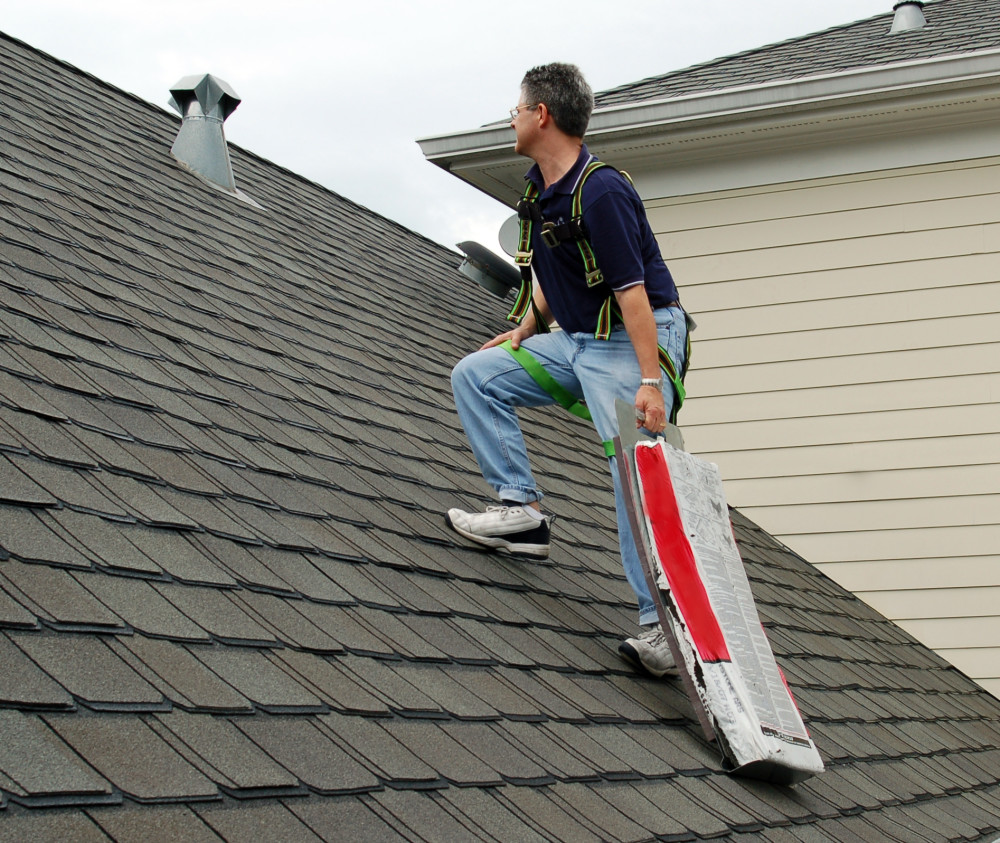 tranzsporter-shingles-super-